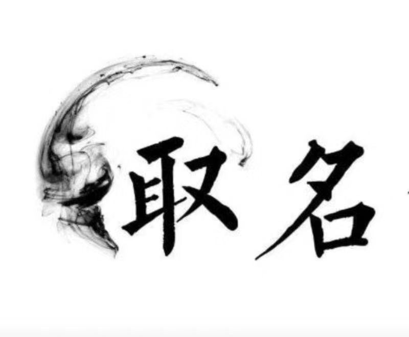 东乡宝宝取名 大师一对一人工起名